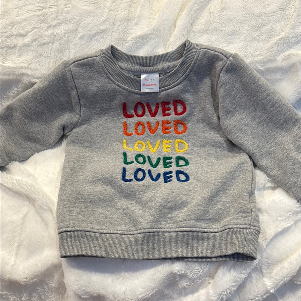 Hanna Andersson sweatshirt LOVED Multicolor 3T